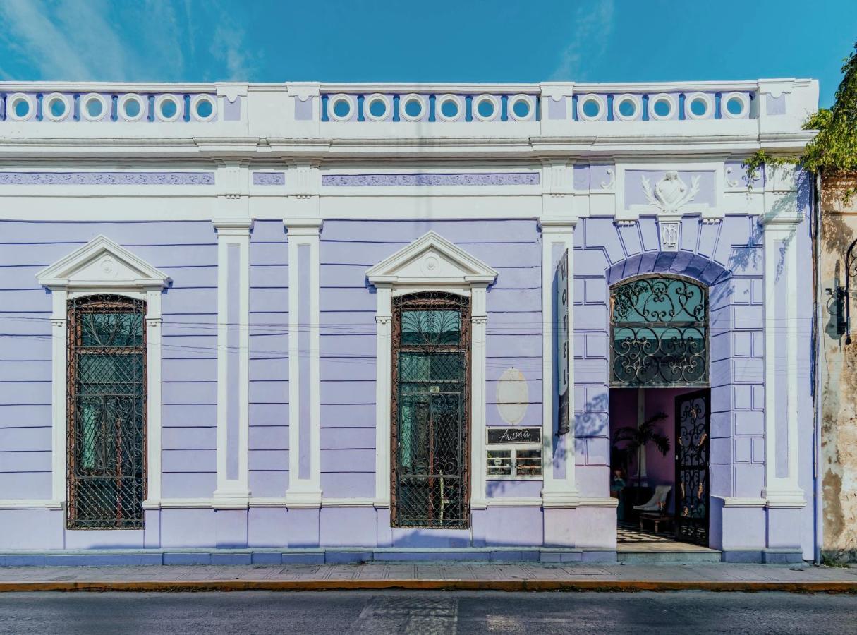 Hotel Lavanda Cas Mérida Exterior foto Casa Paoli